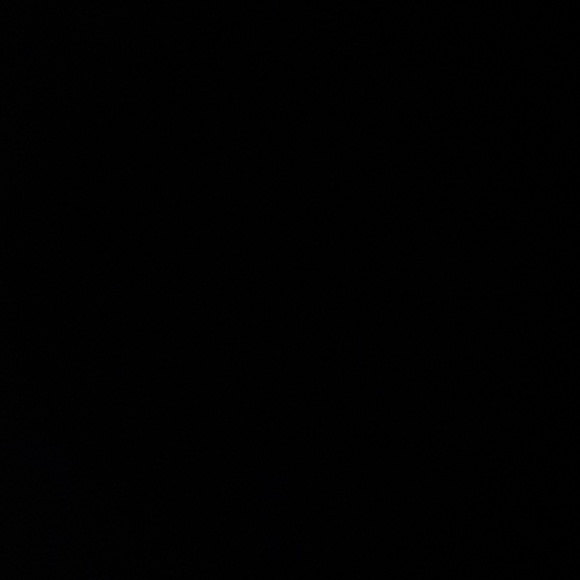 Meet your Posher, Liam - Picture 1 of 1